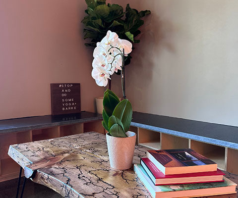 Yogacreatives Yoga Studio