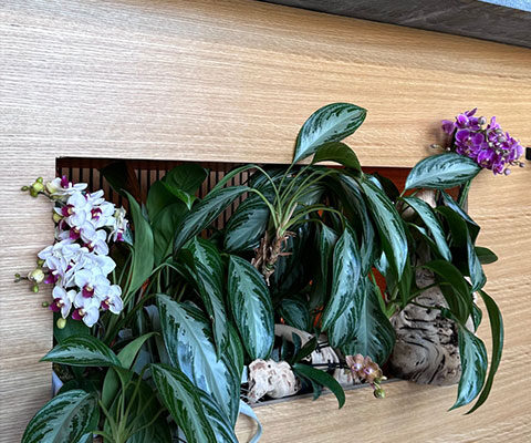 Yogacreatives Yoga Studio