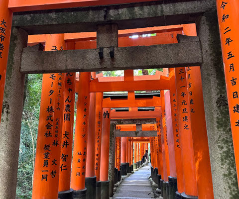 Yogacreatives Yoga Studio