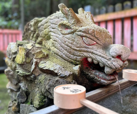 Yogacreatives Yoga Studio