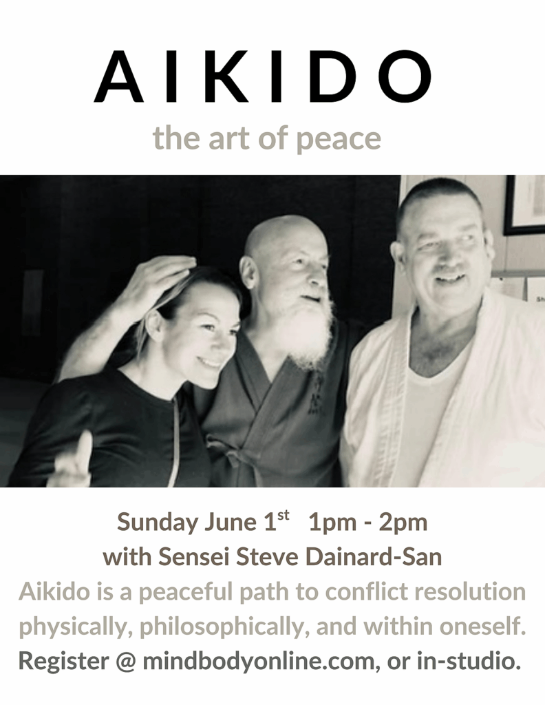 Aikido Workshop