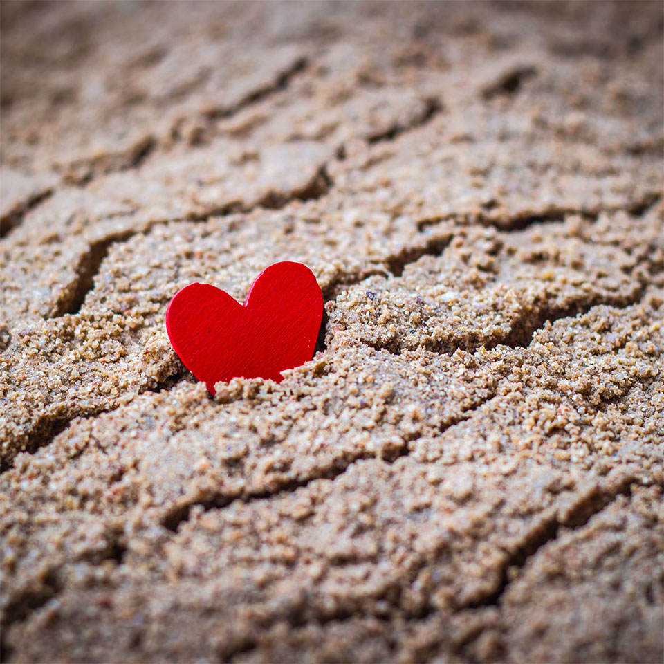 A red heart emerging from brown sand.