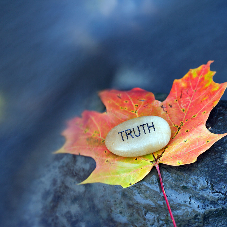 Satya: The Courage to Tell the Truth