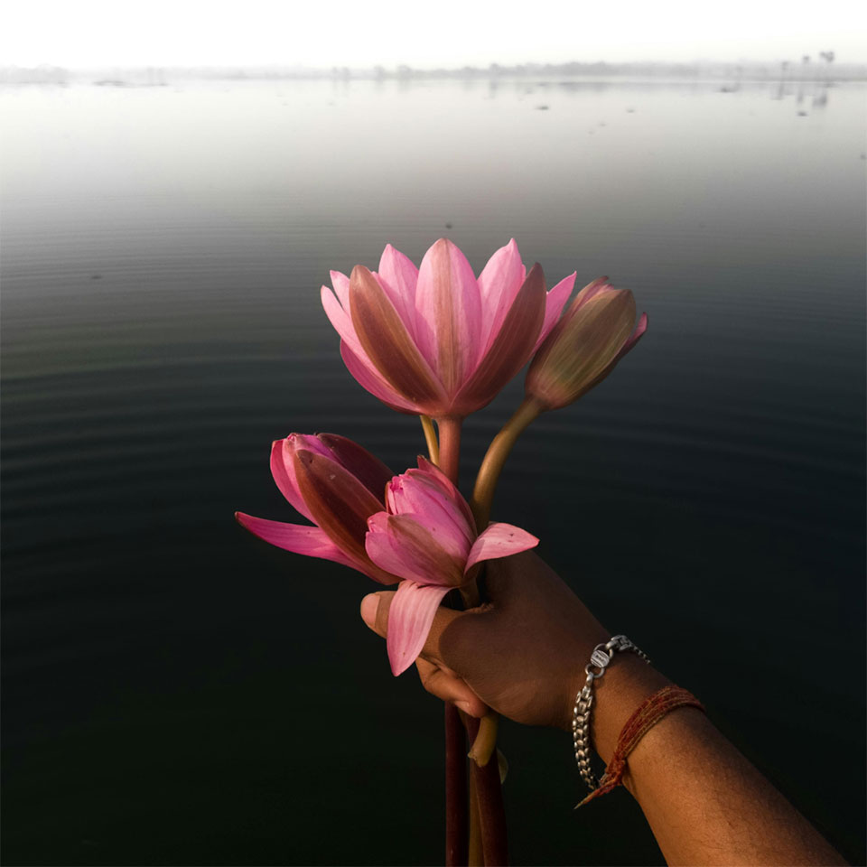 Ahimsa: Kindness as Courage